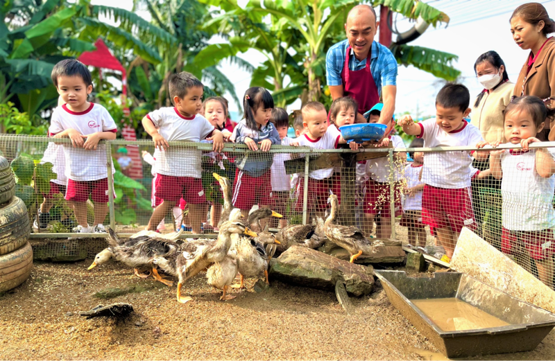 Baby Farm mang đến những buổi d&atilde; ngoại tại n&ocirc;ng trại th&uacute; vị cho c&aacute;c b&eacute;